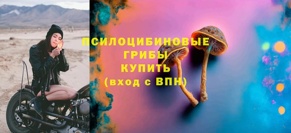 PSILOCYBIN Елабуга