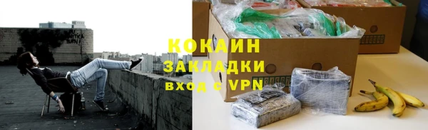 PSILOCYBIN Елабуга