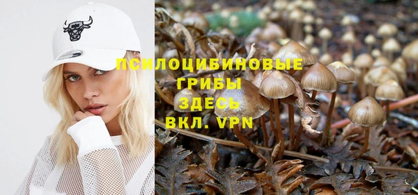 марихуана Новодвинск