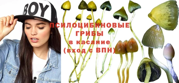 PSILOCYBIN Елабуга