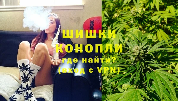 PSILOCYBIN Елабуга