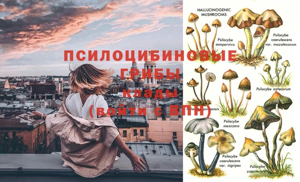 MDMA Ельня