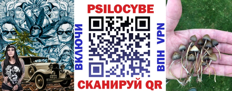 Псилоцибиновые грибы ЛСД дарнет шоп кракен tor Светлогорск